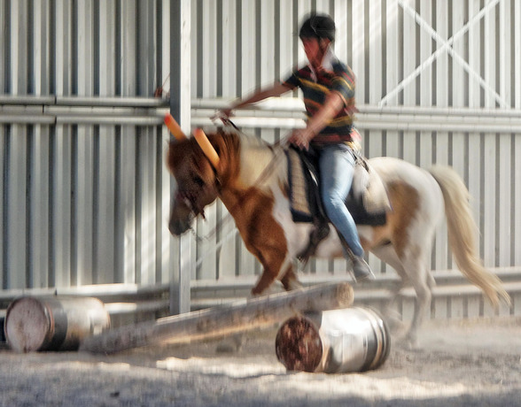 https://lemis.nyc3.digitaloceanspaces.com/yvonne/Photos/20180309/small/Riding-fun-43.jpeg