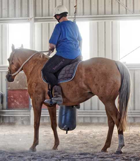 https://lemis.nyc3.digitaloceanspaces.com/yvonne/Photos/20180309/small/Riding-fun-5.jpeg