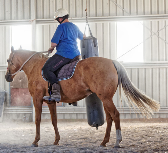 https://lemis.nyc3.digitaloceanspaces.com/yvonne/Photos/20180309/small/Riding-fun-6.jpeg