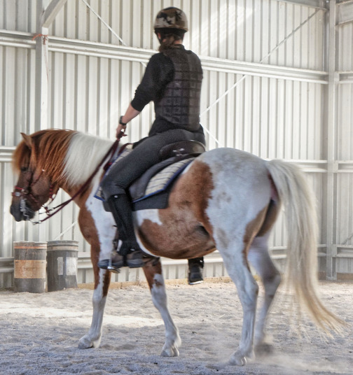 https://lemis.nyc3.digitaloceanspaces.com/yvonne/Photos/20180309/small/Riding-fun-62.jpeg