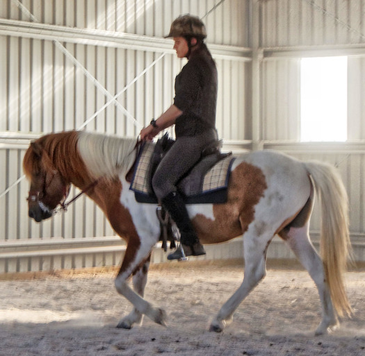 https://lemis.nyc3.digitaloceanspaces.com/yvonne/Photos/20180309/small/Riding-fun-65.jpeg