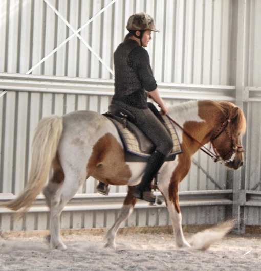 https://lemis.nyc3.digitaloceanspaces.com/yvonne/Photos/20180309/small/Riding-fun-66.jpeg