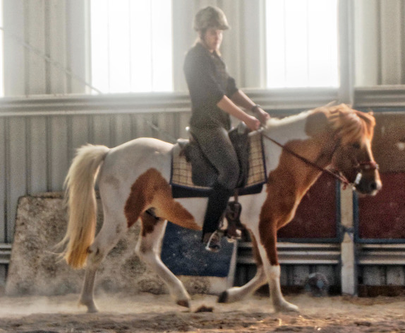 https://lemis.nyc3.digitaloceanspaces.com/yvonne/Photos/20180309/small/Riding-fun-67.jpeg