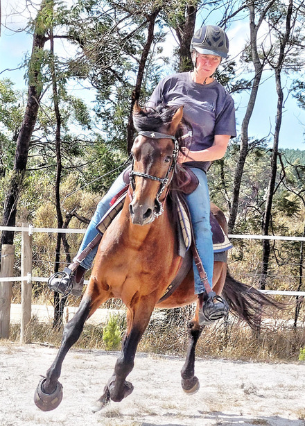 https://lemis.nyc3.digitaloceanspaces.com/yvonne/Photos/20180325/small/Rev-canter-14.jpeg