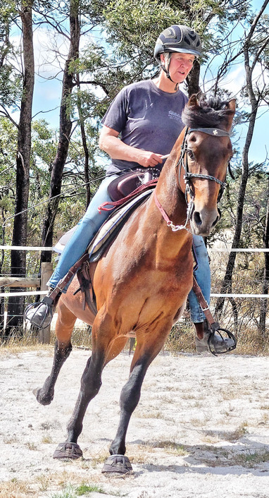 https://lemis.nyc3.digitaloceanspaces.com/yvonne/Photos/20180325/small/Rev-canter-15.jpeg