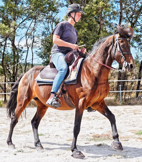 https://lemis.nyc3.digitaloceanspaces.com/yvonne/Photos/20180325/small/Rev-canter-16.jpeg