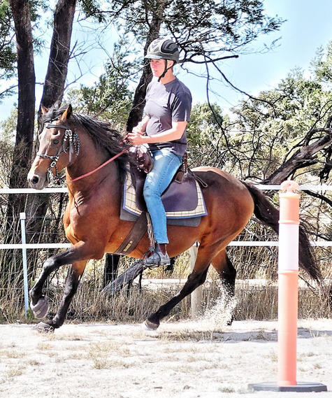 https://lemis.nyc3.digitaloceanspaces.com/yvonne/Photos/20180325/small/Rev-canter-19.jpeg