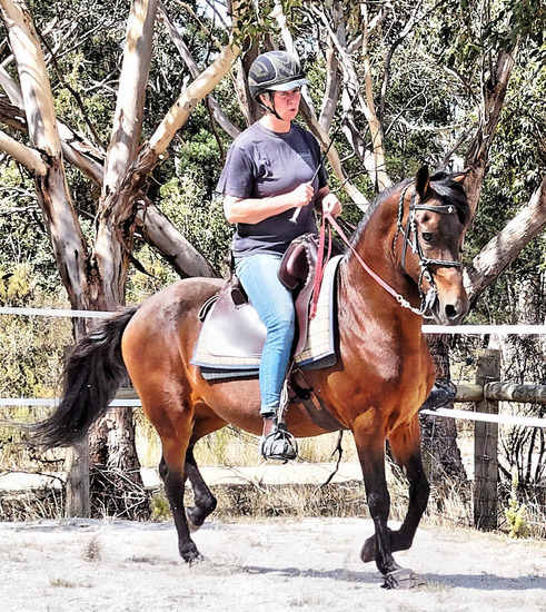 https://lemis.nyc3.digitaloceanspaces.com/yvonne/Photos/20180325/small/Rev-canter-2.jpeg