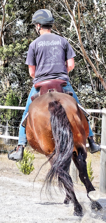 https://lemis.nyc3.digitaloceanspaces.com/yvonne/Photos/20180325/small/Rev-canter-24.jpeg