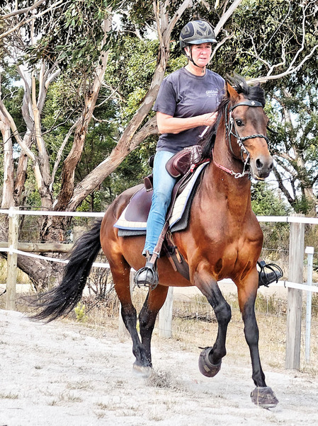 https://lemis.nyc3.digitaloceanspaces.com/yvonne/Photos/20180325/small/Rev-canter-26.jpeg
