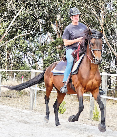 https://lemis.nyc3.digitaloceanspaces.com/yvonne/Photos/20180325/small/Rev-canter-27.jpeg