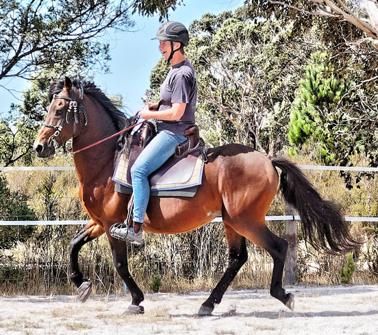 https://lemis.nyc3.digitaloceanspaces.com/yvonne/Photos/20180325/small/Rev-canter-8.jpeg