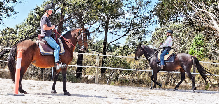 https://lemis.nyc3.digitaloceanspaces.com/yvonne/Photos/20180325/small/arena-riding-1.jpeg