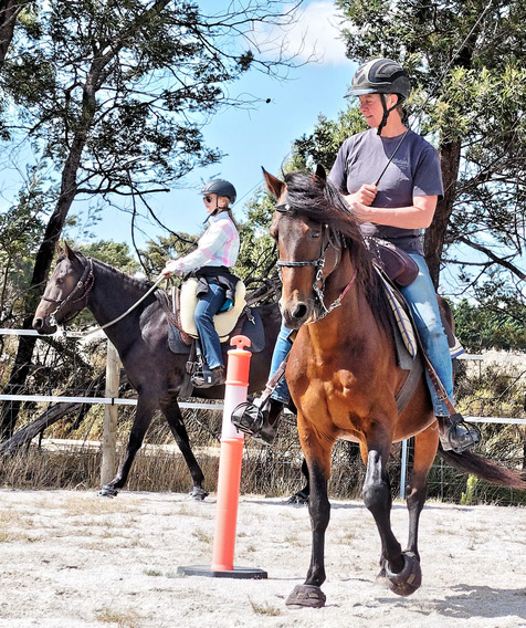https://lemis.nyc3.digitaloceanspaces.com/yvonne/Photos/20180325/small/arena-riding-3.jpeg