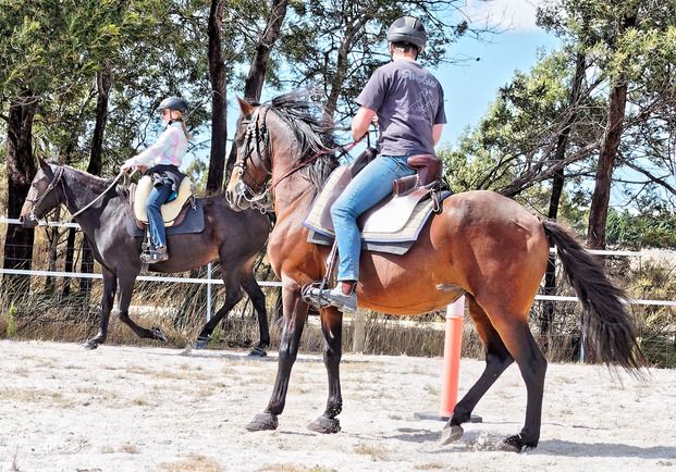 https://lemis.nyc3.digitaloceanspaces.com/yvonne/Photos/20180325/small/arena-riding-5.jpeg