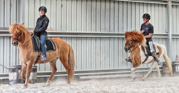 https://lemis.nyc3.digitaloceanspaces.com/yvonne/Photos/20180325/small/riding-11.jpeg