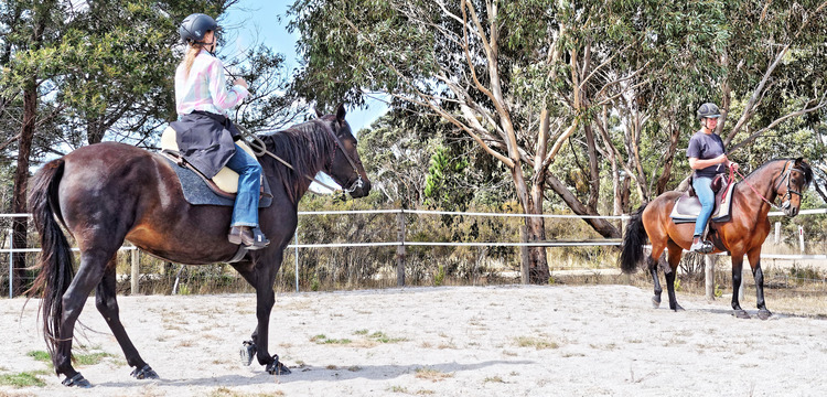 https://lemis.nyc3.digitaloceanspaces.com/yvonne/Photos/20180325/small/riding-18.jpeg