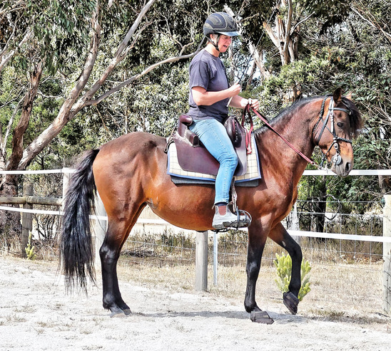 https://lemis.nyc3.digitaloceanspaces.com/yvonne/Photos/20180325/small/riding-19.jpeg