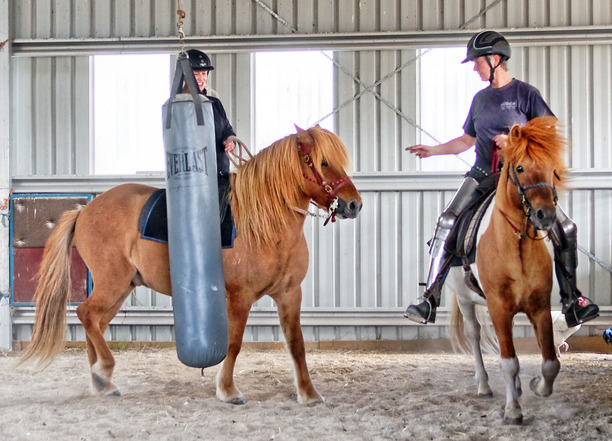 https://lemis.nyc3.digitaloceanspaces.com/yvonne/Photos/20180325/small/riding-2.jpeg