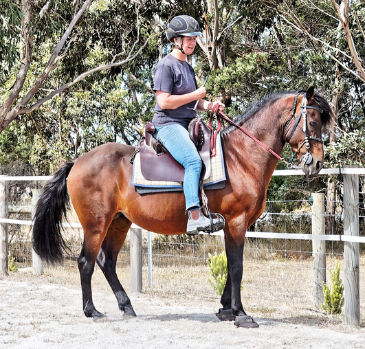 https://lemis.nyc3.digitaloceanspaces.com/yvonne/Photos/20180325/small/riding-20.jpeg