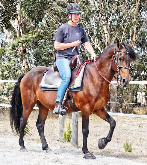 https://lemis.nyc3.digitaloceanspaces.com/yvonne/Photos/20180325/small/riding-22.jpeg