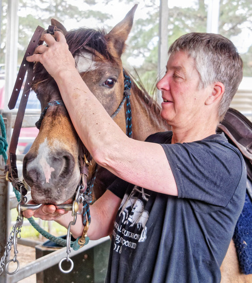 https://lemis.nyc3.digitaloceanspaces.com/yvonne/Photos/20181109/small/Chris-bridles-Pinta-2.jpeg
