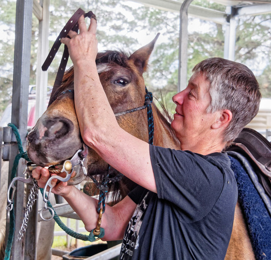 https://lemis.nyc3.digitaloceanspaces.com/yvonne/Photos/20181109/small/Chris-bridles-Pinta-3.jpeg