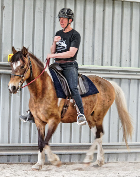 https://lemis.nyc3.digitaloceanspaces.com/yvonne/Photos/20181109/small/Chris-rides-Pinta-2.jpeg