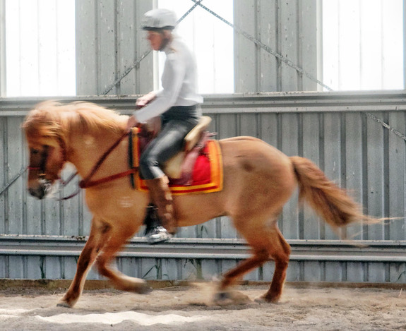 https://lemis.nyc3.digitaloceanspaces.com/yvonne/Photos/20181109/small/Ruth-and-Keldan-25.jpeg