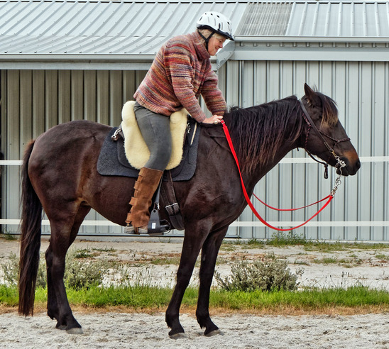 https://lemis.nyc3.digitaloceanspaces.com/yvonne/Photos/20181109/small/Ruth-rides-Carlotta-11.jpeg