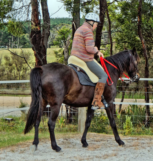 https://lemis.nyc3.digitaloceanspaces.com/yvonne/Photos/20181109/small/Ruth-rides-Carlotta-16.jpeg