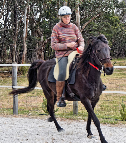 https://lemis.nyc3.digitaloceanspaces.com/yvonne/Photos/20181109/small/Ruth-rides-Carlotta-18.jpeg