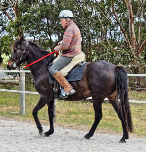 https://lemis.nyc3.digitaloceanspaces.com/yvonne/Photos/20181109/small/Ruth-rides-Carlotta-6.jpeg