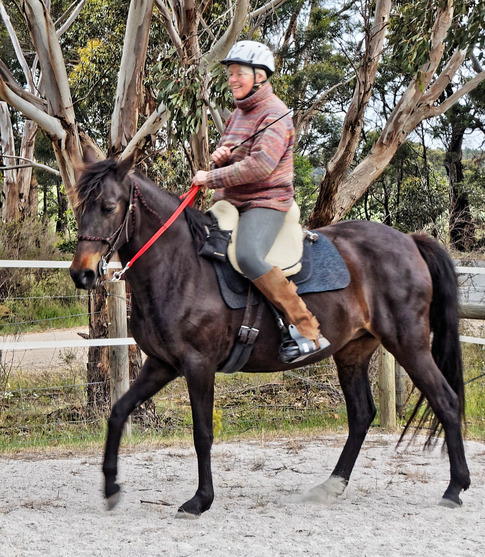 https://lemis.nyc3.digitaloceanspaces.com/yvonne/Photos/20181109/small/Ruth-rides-Carlotta-7.jpeg