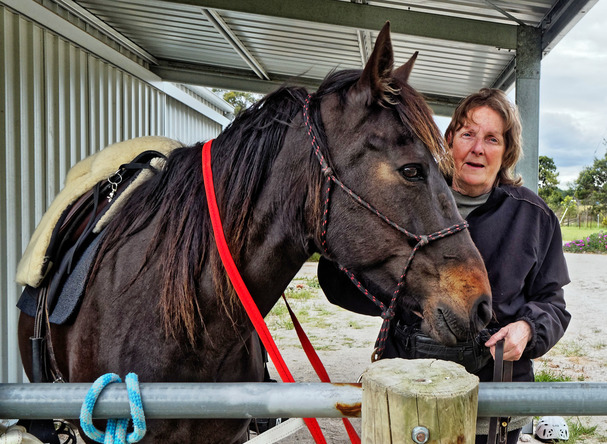https://lemis.nyc3.digitaloceanspaces.com/yvonne/Photos/20181109/small/Yvonne-bridles-Carlotta-1.jpeg