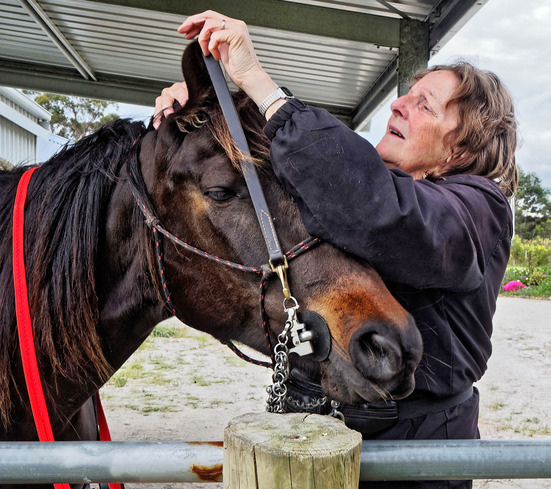 https://lemis.nyc3.digitaloceanspaces.com/yvonne/Photos/20181109/small/Yvonne-bridles-Carlotta-4.jpeg