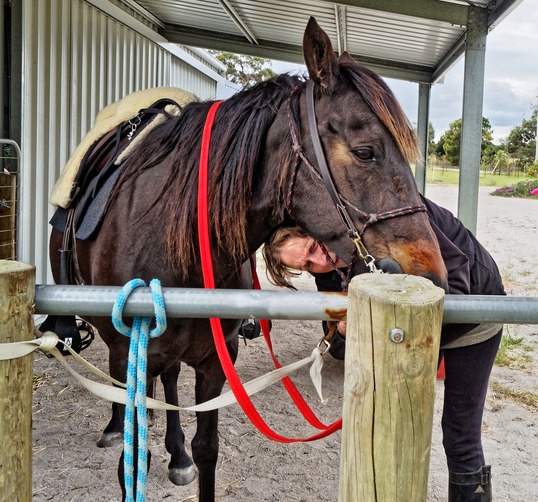 https://lemis.nyc3.digitaloceanspaces.com/yvonne/Photos/20181109/small/Yvonne-bridles-Carlotta-5.jpeg
