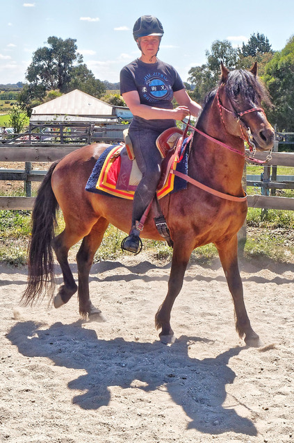 https://lemis.nyc3.digitaloceanspaces.com/yvonne/Photos/20181116/small/Chris-rides-Rev-28.jpeg