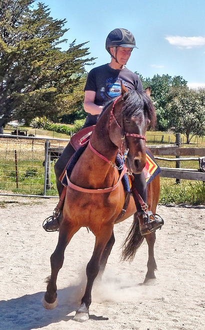 https://lemis.nyc3.digitaloceanspaces.com/yvonne/Photos/20181116/small/Chris-rides-Rev-33.jpeg