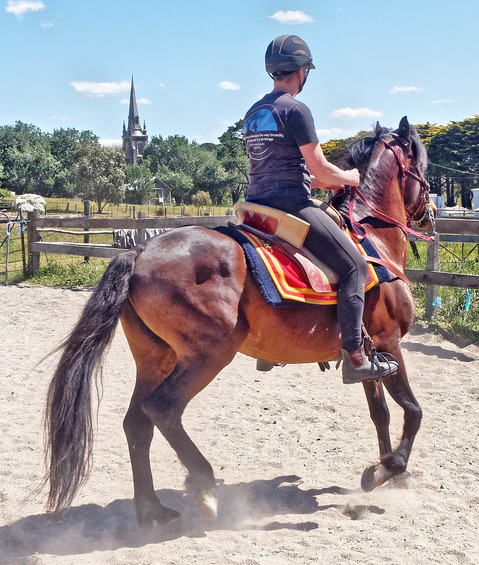 https://lemis.nyc3.digitaloceanspaces.com/yvonne/Photos/20181116/small/Chris-rides-Rev-34.jpeg