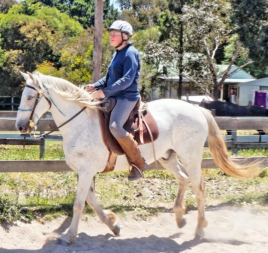 https://lemis.nyc3.digitaloceanspaces.com/yvonne/Photos/20181116/small/Ruth-and-Paco-40.jpeg