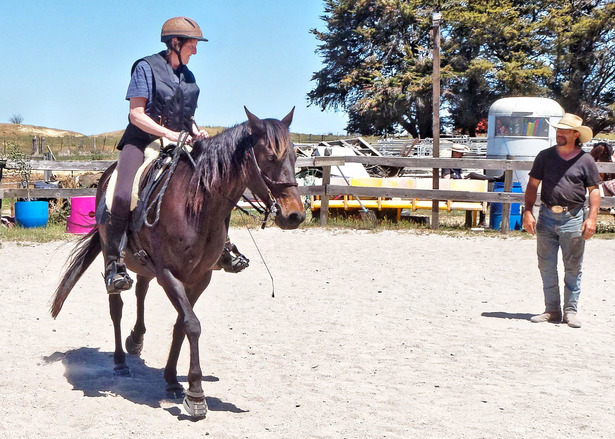 https://lemis.nyc3.digitaloceanspaces.com/yvonne/Photos/20181116/small/Yvonne-rides-Carlotta-3.jpeg