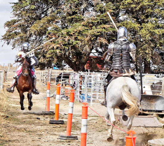https://lemis.nyc3.digitaloceanspaces.com/yvonne/Photos/20190315/small/jousting-14.jpeg
