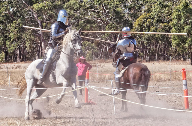 https://lemis.nyc3.digitaloceanspaces.com/yvonne/Photos/20190318/small/jousting-16.jpeg