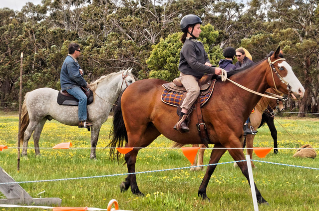 https://lemis.nyc3.digitaloceanspaces.com/yvonne/Photos/20191006/small/riders-70.jpeg