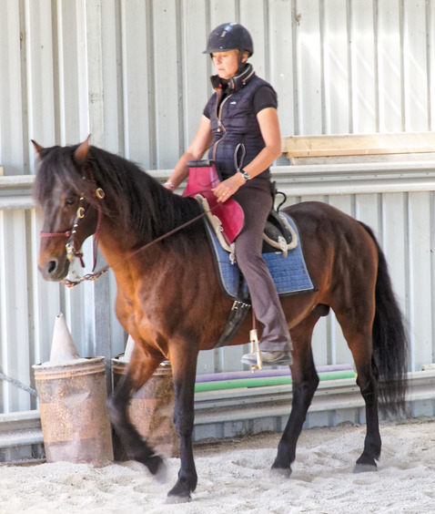 https://lemis.nyc3.digitaloceanspaces.com/yvonne/Photos/20191124/small/Anke-rides-Rev-2.jpeg