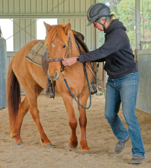https://lemis.nyc3.digitaloceanspaces.com/yvonne/Photos/20210423/small/riding-10.jpeg