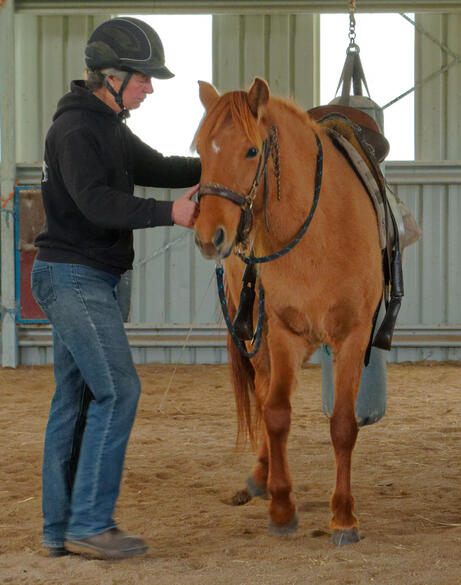 https://lemis.nyc3.digitaloceanspaces.com/yvonne/Photos/20210423/small/riding-11.jpeg