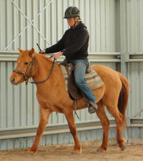 https://lemis.nyc3.digitaloceanspaces.com/yvonne/Photos/20210423/small/riding-13.jpeg