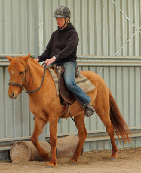 https://lemis.nyc3.digitaloceanspaces.com/yvonne/Photos/20210423/small/riding-14.jpeg